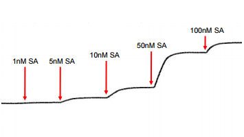 spr applications