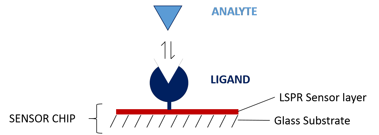 surface plasmon resonance sensor chip