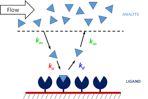 surface plasmon resonance analyte